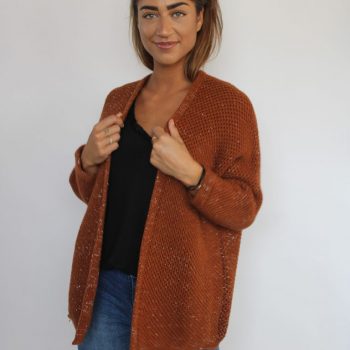 Ambika vest brick schuin
